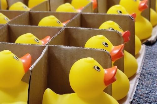 The Lewisville Parks and Recreation Department is hosting its Ducky Derby. (Courtesy Lewisville Parks and Recreation)