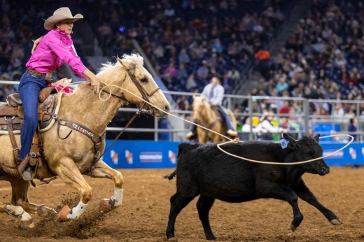 The Houston Livestock Show and Rodeo announced changes to the 2023 Rodeo Houston Competition in a news release July 19. (Courtesy Houston Livestock Show and Rodeo) 