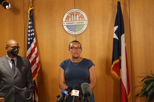 A woman in a blue dress with glasses stands in front of a podium with microphones with a man to her side and a wooden wall behind her.