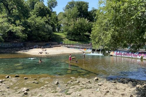 A potent neurotoxin was detected in algae from the Barking Springs section of Barton Creek on July 22 following the death of a dog that died after swimming in the area July 10. (Chloe Young/Community Impact Newspaper)