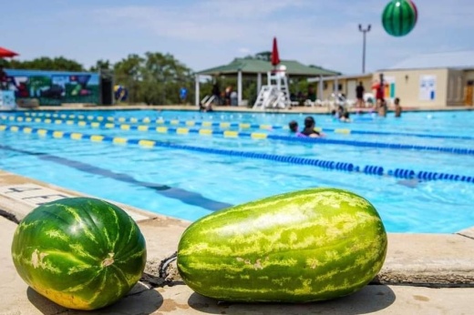 Activities will run from 5-7 p.m. on Aug. 3. (Courtesy city of Schertz)