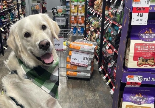 Pet Supplies Plus is launching with a grand opening Aug. 12-14 at 3851 Bellaire Blvd., Houston. (Courtesy Pet Supplies Plus)