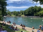 The Austin Watershed Protection Department tested algae samples from Barton Springs Pool in July and August, finding only minuscule levels of toxins that it said are not concerning. (Darcy Sprague/Community Impact Newspaper)
