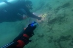 Underwater diver picking up soda can