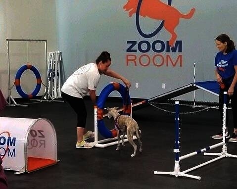 Zoom Room Dog Training is expected to open in Highland Village. (Courtesy Zoom Room)