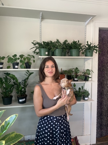 Jessica Cohen owns and runs Dirt Bag, a shop specializing in indoor plants on Gray Street in Montrose. (Photos by Renee Farmer/Community Impact Newspaper)