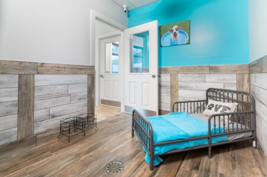Pet boarding service and wellness provider Pet Paradise opened Aug. 18 in Cedar Park. (Courtesy Pet Paradise)
