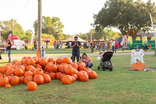 The Old Time Christmas Tree Farm Pumpkin Patch runs through Oct. 30. (Courtesy Old Time Christmas Tree Farm)