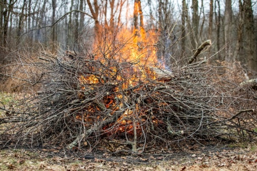 This is a picture of a pile of branches on fire.