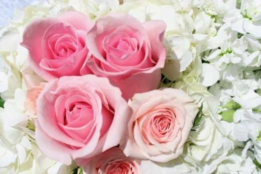 This bouquet includes white hydrangea, light pink roses, white stock and pampas grass. (Karen Chaney/Community Impact)