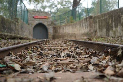 The Zilker mini train has been out of commission since 2019. (Katy McAfee/Community Impact)