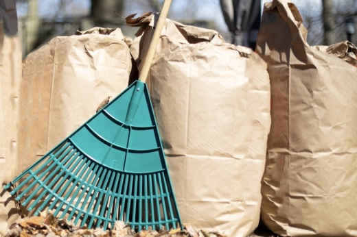 a row of paper bags filled with leaves with a leaf rake leaning on them 