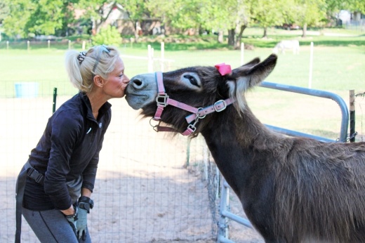 Loving Long Ears Donkey Therapy & Sanctuary.
