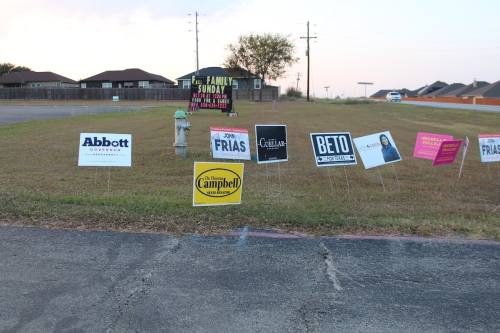 political lawn signs