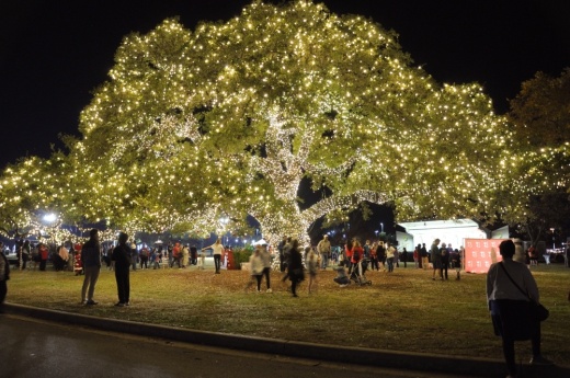 The city of Cedar Park will host its annual Tree Lighting Ceremony and Santa’s Wonderland on Dec. 2. (Courtesy City of Cedar Park)