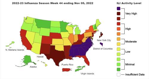 A map of flu activity in the U.S. through Nov. 5.