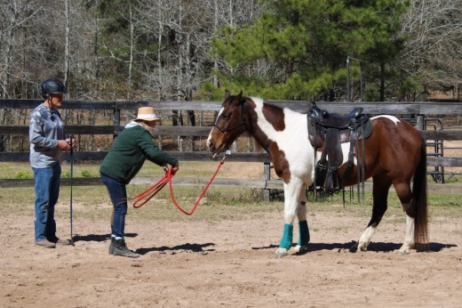 At Henry’s Home Horse Sanctuary, volunteers care for horses in an outdoor facility, performing farm work and other activities. (Courtesy Henry's Home Horse Sanctuary)