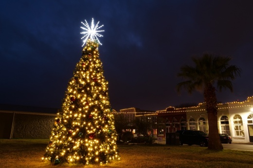 Photo of the downtown Hutto Christmas tree lit up at night