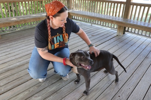PAWS Shelter of Central Texas is one of the various organizations that accept volunteers. (Zara Flores/Community Impact)
