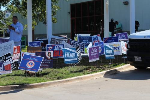 Numerous election day signs are set up in the grass next to a driveway.