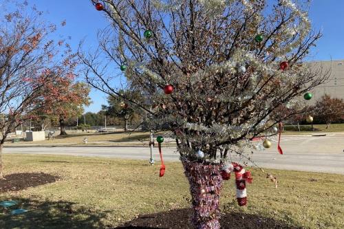 Flower Mound's Sad Tree Along Road program is an annual event that residents can participate in. (Samantha Douty/Community Impact)