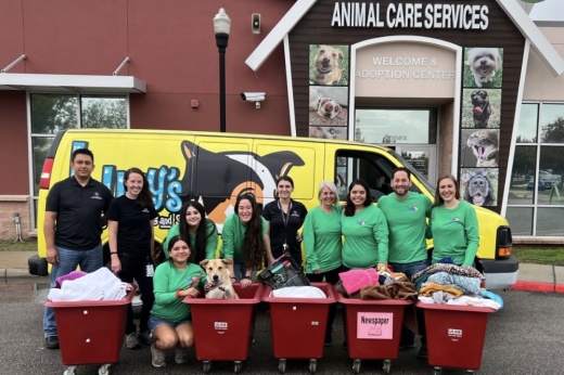 Lucy's Doggy Daycare and Spa employees deliver blankets to the San Antonio Animal Care Services campus on Nov. 29 following a collection drive when the local dog care business asked for donations of various dog supplies. Nova, a foster dog that was delivered to Lucy's downtown location, is seen in this photo and is available for adoption. (Courtesy Lucy's Doggy Daycare and Spa)