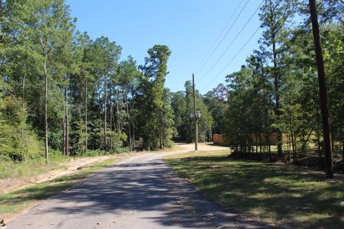 According to previous reporting, Old Conroe Road will be connected to Sgt. Ed Holcombe Boulevard South with a pair of bridges across Lake Creek and the West Fork of the San Jacinto River. (Peyton MacKenzie/Community Impact)