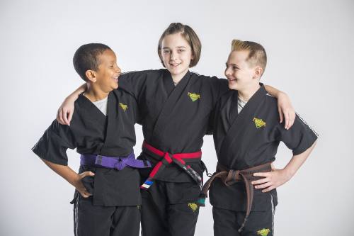 Premier Martial Arts' curriculum combines elements of karate, taekwondo, krav maga and kickboxing. 