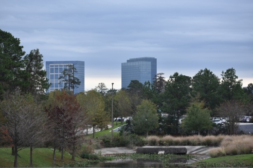 Residents throughout The Woodlands can file to run for a number of committee positions, and voting begins Feb. 13. (Vanessa Holt/Community Impact)