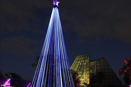 San Antonio Botanical Garden closes its Lightscape installation with discounted admission Jan. 6-8. (Courtesy San Antonio Botanical Garden)