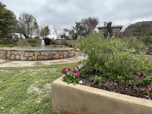 The city of Georgetown is hosting a workshop series throughout the year on how to maintain a healthy yard. (Grant Crawford/Community Impact)
