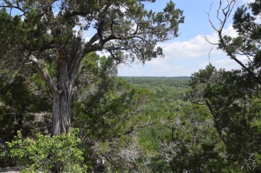 Hays County has acquired the 1,068-acre Purgatory Creek Nature Preserve to ensure it is protected from future development. (Courtesy Hays County)