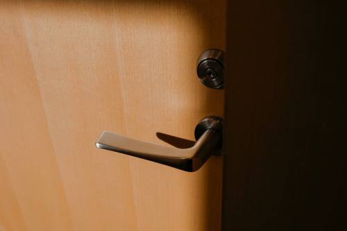 Door and handle