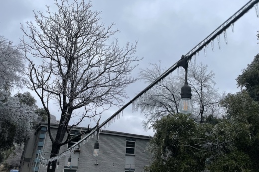 The winter storm affecting the Austin region caused ice to accumulate on power lines throughout the area. (Beth Marshall/Community Impact)