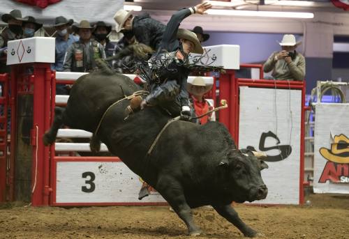 The San Antonio Stock Show and Rodeo will be held Feb. 9-26 at the AT&T Center. (Courtesy San Antonio Stock Show and Rodeo)