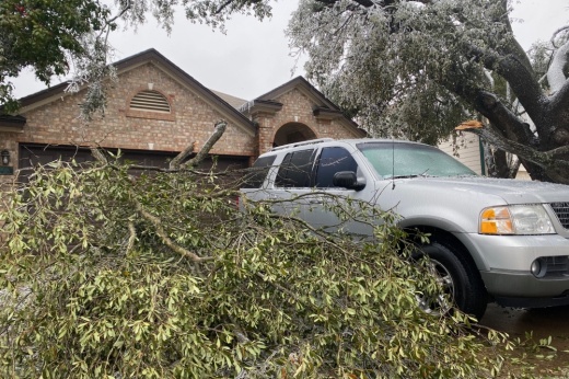 Freezing conditions over the last several days have led to many trees losing branches. (Brian Rash/Community Impact)