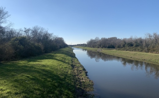 The project will address erosion and slope failures along a tributary of the Upper Buffalo Bayou. (Renee Farmer/Community Impact)