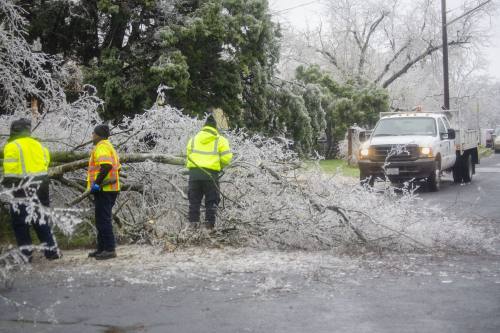 A photo of workers from the city of Austin clearing a tree blocking the road on Feb. 2.