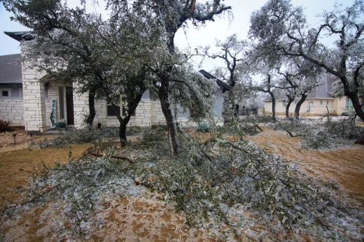 Residents within Georgetown's city limits will be able to place tree limbs and brush debris for curbside pickup or take the items to an additional drop-off location, according to press release. (Derek Sullivan/Community Impact)