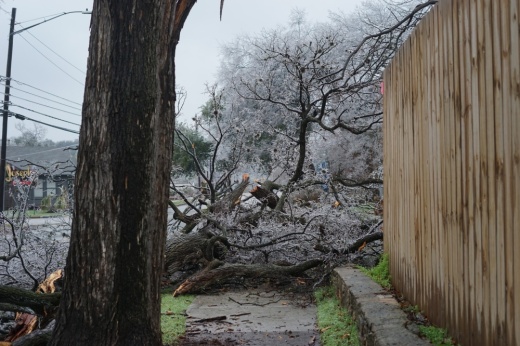 Aspects of Austin Energy's handling of the early 2023 ice storm have come under scrutiny this month. (Katy McAfee/Community Impact)