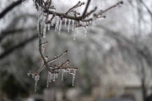 icicles