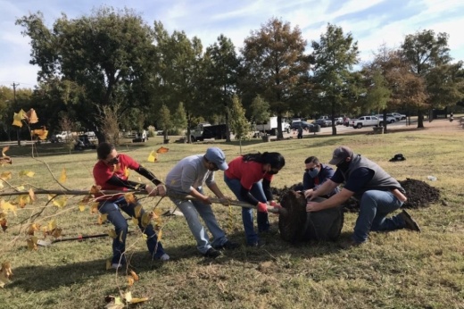 Five people help plant a tree in the ground during a Dallas tree-planting event