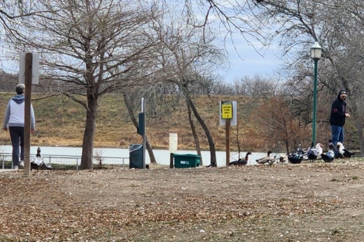Trails will connect to existing trails around the area. (Jarrett Whitener/Community Impact)