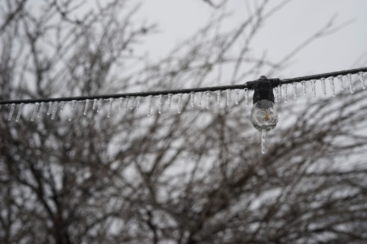 Ice accumulation on trees and power lines contributed to power outages during Winter Storm Mara. (Katy McAfee/Community Impact)