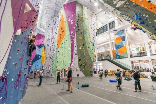 Movement climbing gym