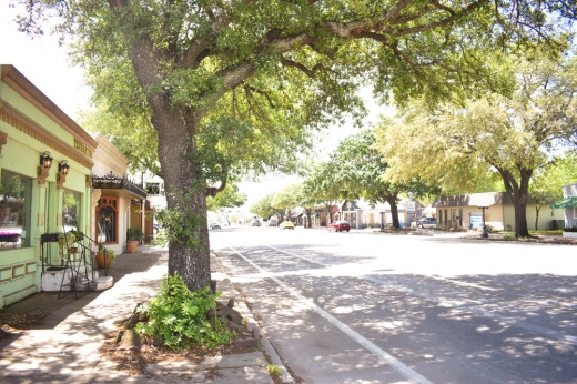 A project to reconstruct Main Street, improve sidewalks and replace trees is moving forward after council selected a design. (Lizzy Spangler/Community Impact)
