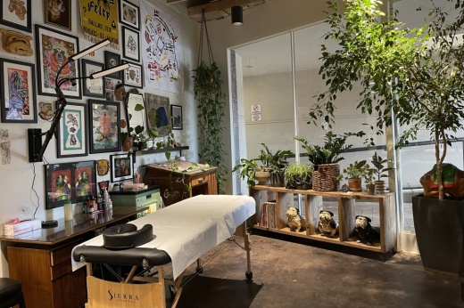 tattoo shop with plants and framed photos