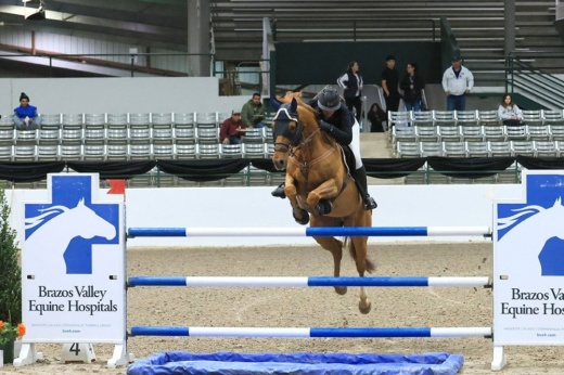 horse jumping over a bar