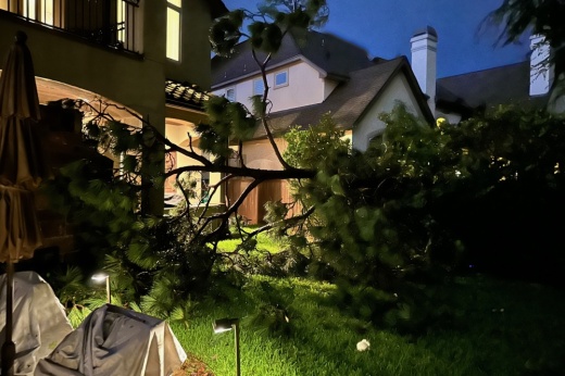 Severe thunderstorms June 21 caused fallen trees and loss of power across the Houston area. (Nicole Preston/Community Impact)