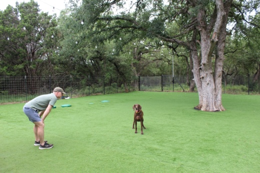 Hound Haus owner Jeremy Cason plays with a client's dog.